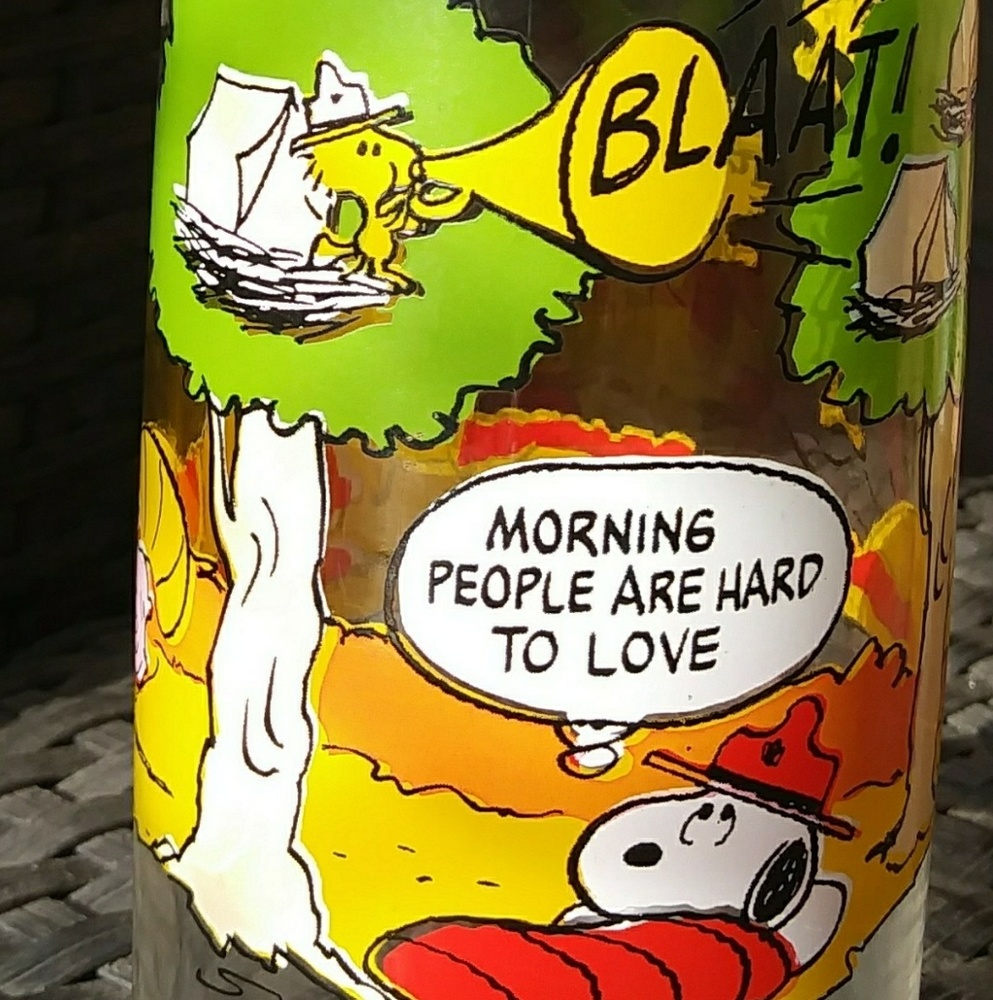 Vintage 1965 McDonalds CampSnoopy Collection glass